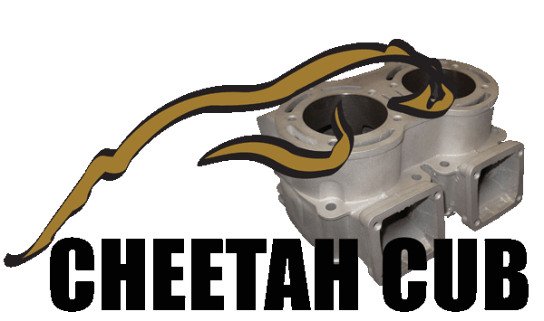 Cheetah_cub_logo